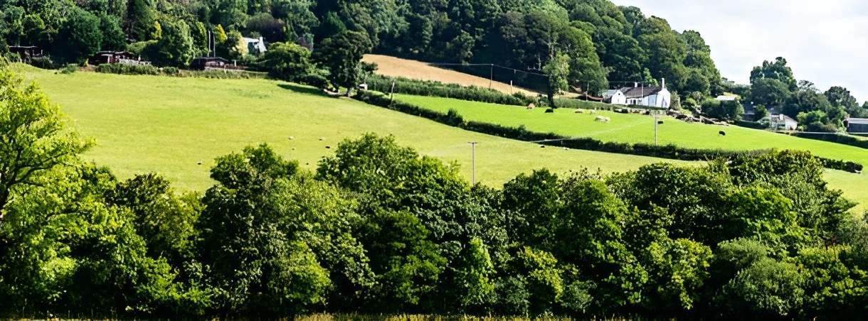 Welsh Countryside