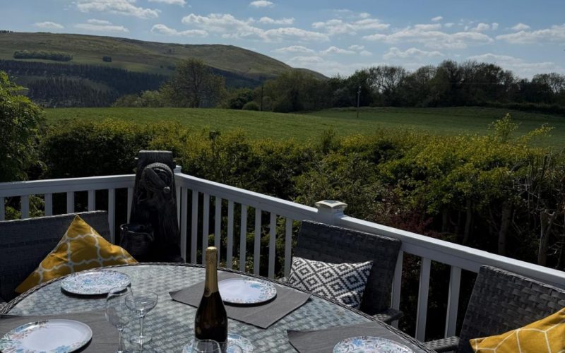 Willerby Aspen Rear Decking View